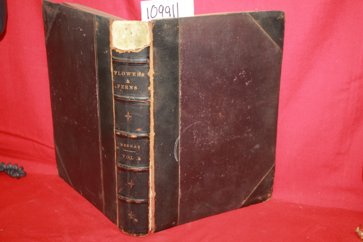 MEEHAN, THOMAS: THE NATIVE FLOWERS AND FERNS OFTHE UNITIED STATES Vol. I Only