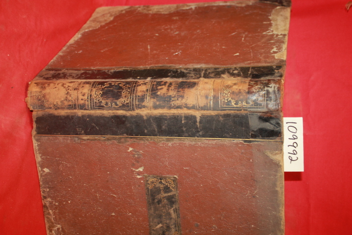 JEFFREYS, C. J.: THEY VOICE IS MUSIC TO MINE EAR