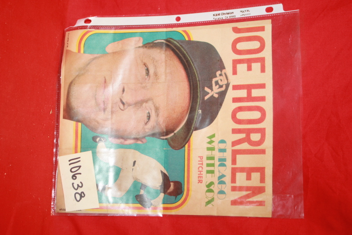 Chicago White Sox: Joe Horlen of the Chicago White Sox