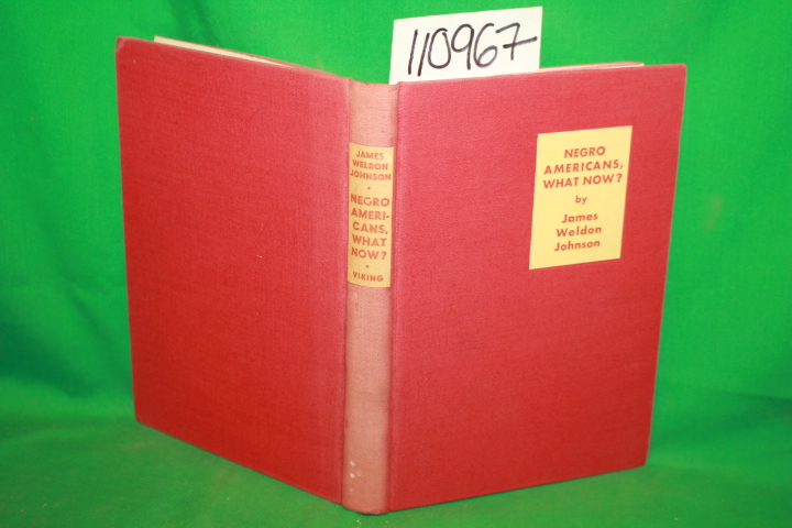 Johnson, James Weldon: Negro Americans What Now