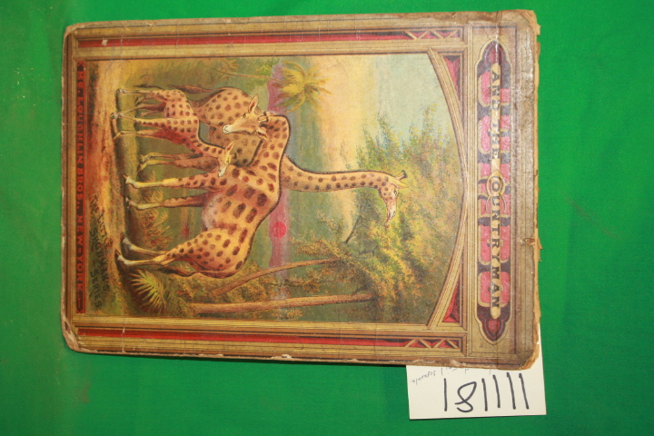 MC Loughlin Bros: Jumbo and the Countryman *Pop up*