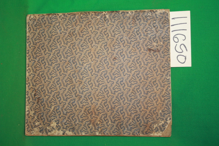 penmanship: Book with 20 pages of ornate signatures and penmanship and a draw...