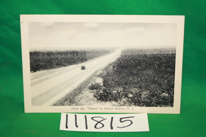 Over the Plains to Beach Haven, N. J.: Over the Plains to Beach Haven, N. J. ...