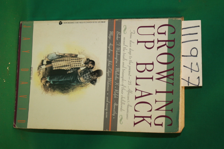 David, Jay: Growing Up Black