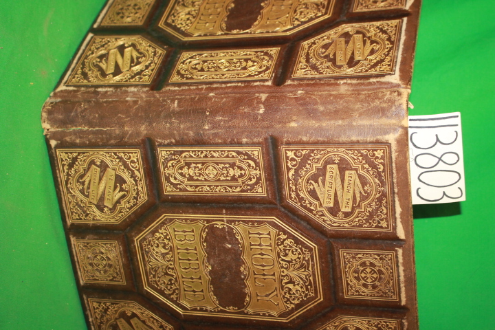 Holy Bible: Practical Polyglot Family Bible Containing the Old and New Testam...